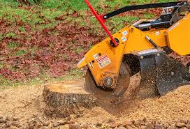 Best Storm Damage Tree Cleanup  in Yuba City, CA